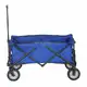 carucior pliant plaja Trolley - INCASA