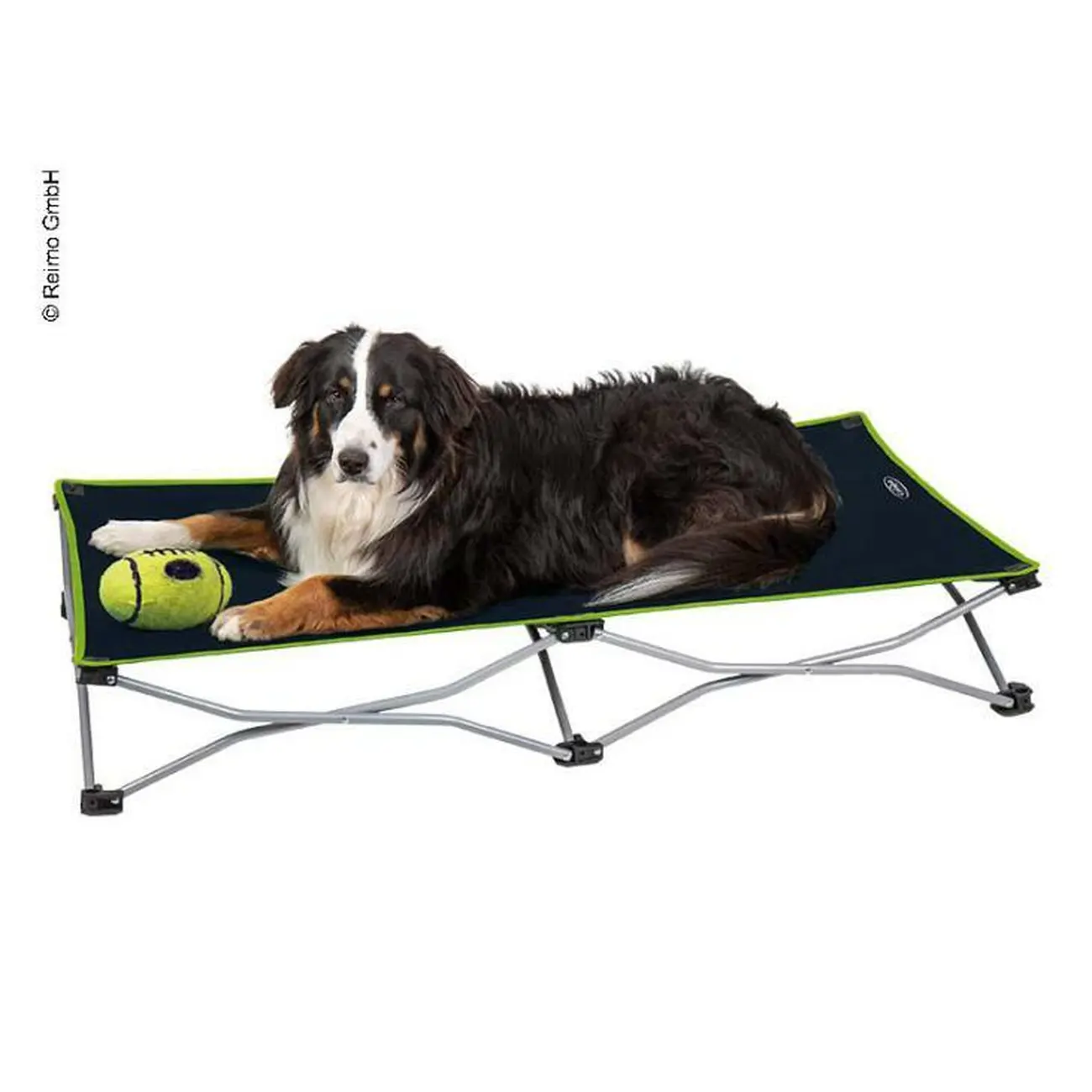 PET pat pliant Momo - CAMP4